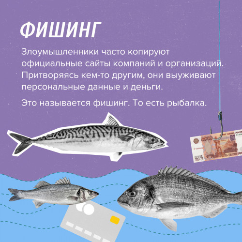 02_1_0.jpg